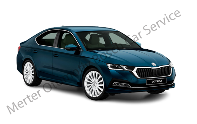Güngören Skoda Servisi